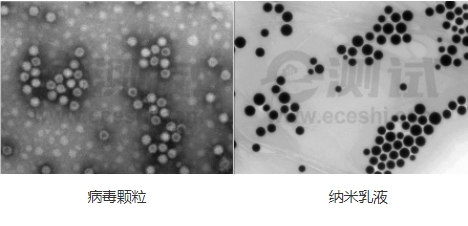 微信截圖_20240719155544