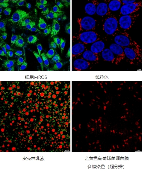 微信截圖_20240719155811