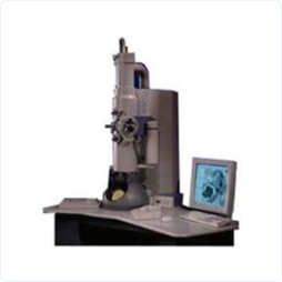 70ff60f5a1959ebb14916ea955e63f65 70ff60f5a1959ebb14916ea955e63f65