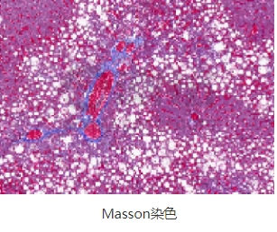 微信截圖_20240719163207