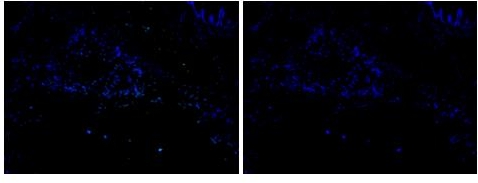 微信截圖_20240719161713