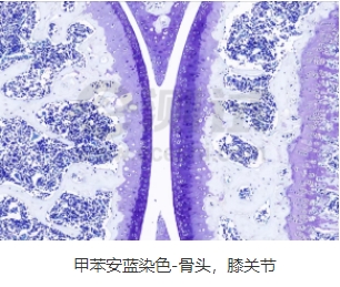 微信截圖_20240719163400