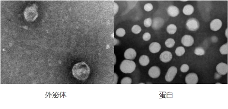 微信截圖_20240719155525