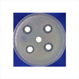 29719c9af6638189148981602a6ddde5 29719c9af6638189148981602a6ddde5