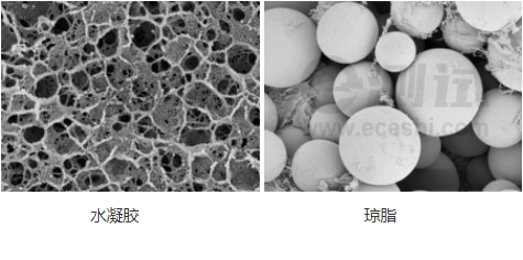 微信截圖_20240719155337