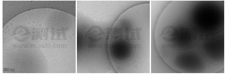 微信截圖_20240709134604