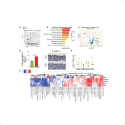 8a46a6a0e0949d6f56ecaf747c06e1df