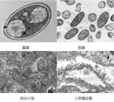 微信截圖_20240719154937 微信截圖_20240719154937