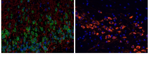 微信截圖_20240719161522