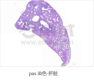 微信截圖_20240719163603