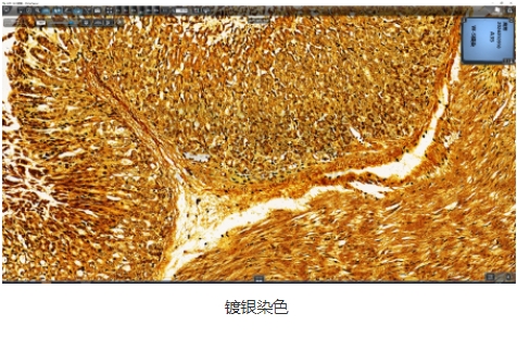 微信截圖_20240719164039