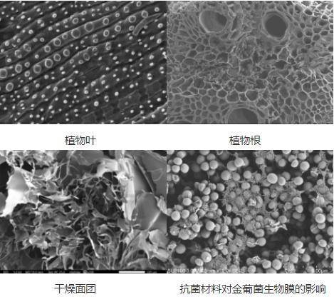 微信截圖_20240719154452