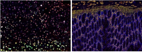 微信截圖_20240719161450