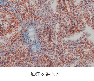 微信截圖_20240719163543