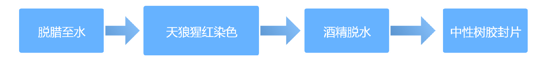 1643181496301023 1643181496301023