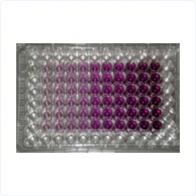 cf0769b5087803a57916d0df961d615d_9bfb030f2d4f948.jpeg cf0769b5087803a57916d0df961d615d_9bfb030f2d4f948.jpeg