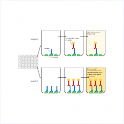 22e4672a741f5adc7e06a3735a2bfabf_400x400_auto.jpg 22e4672a741f5adc7e06a3735a2bfabf_400x400_auto.jpg