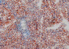 f2db0a2829ba8740bffe30bbfeccfb10 f2db0a2829ba8740bffe30bbfeccfb10