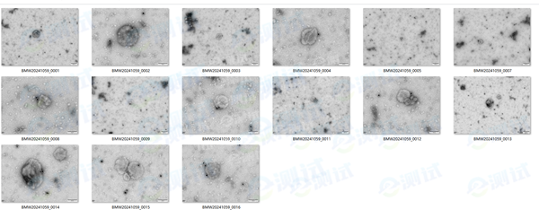 c3fbd79e23faf9c c3fbd79e23faf9c