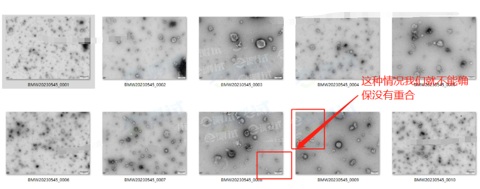 顯微成像04 顯微成像04
