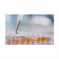 68862e47942bca64f8d69e438b6014c8_201ff21c194b82d.png 68862e47942bca64f8d69e438b6014c8_201ff21c194b82d.png