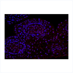 a53e93e48fc86eaeebc645319d64a99c_839fff461ccc0c9.png a53e93e48fc86eaeebc645319d64a99c_839fff461ccc0c9.png