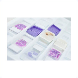 3bbbf822a99ba5ff3ebb0854c1654a94_d2dbf8e507759.png 3bbbf822a99ba5ff3ebb0854c1654a94_d2dbf8e507759.png