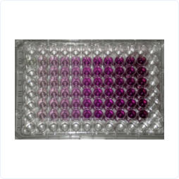 a8cb3f86b32c1688df5bf94b3e2753f6_b1b5072a1903549.png a8cb3f86b32c1688df5bf94b3e2753f6_b1b5072a1903549.png