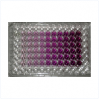 base64_image base64_image