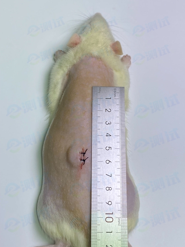 43d34e99e9318dfb71fb4f2990d4de2 43d34e99e9318dfb71fb4f2990d4de2