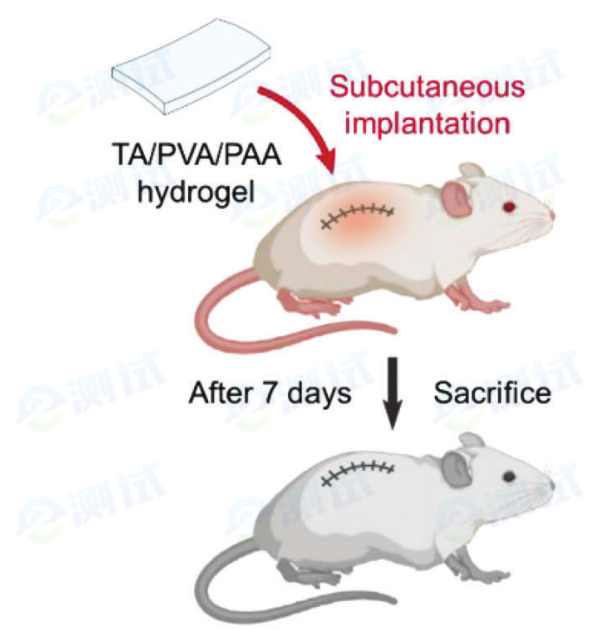 f50ff4cf-826c-4b75-b2b0-4032077e9e6c f50ff4cf-826c-4b75-b2b0-4032077e9e6c