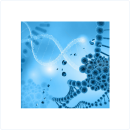 732b9a57971ac6cb1a917986ba1284ed_4262c7c399a2608.png 732b9a57971ac6cb1a917986ba1284ed_4262c7c399a2608.png