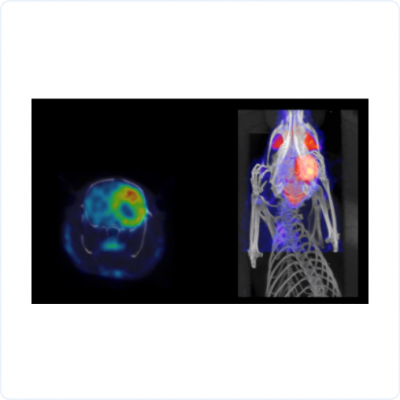 base64_image base64_image