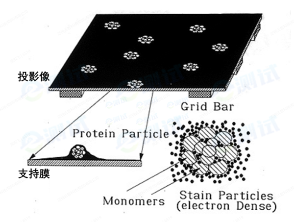 微信截圖_20241128134227 微信截圖_20241128134227