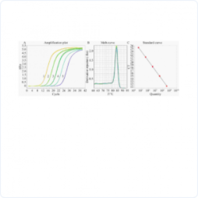 base64_image base64_image