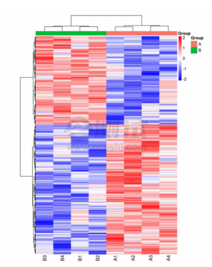 base64_image base64_image