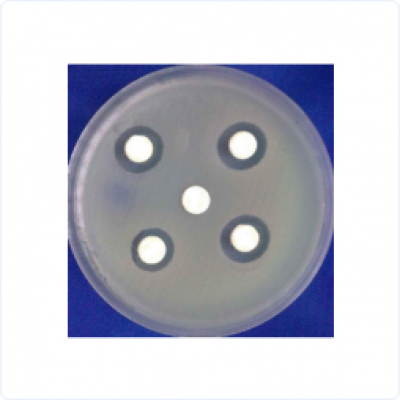 base64_image base64_image