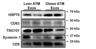 微信截圖_20241226135116 微信截圖_20241226135116