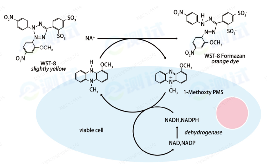 微信截圖_20250102110134 微信截圖_20250102110134