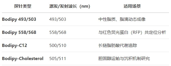 微信截圖_20250430170253 微信截圖_20250430170253