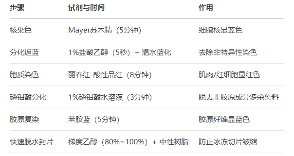 微信截圖_20250430171248 微信截圖_20250430171248