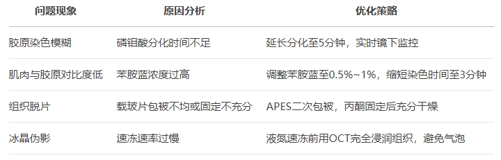 微信截圖_20250430171521 微信截圖_20250430171521