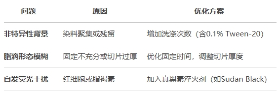 微信截圖_20250430170324 微信截圖_20250430170324