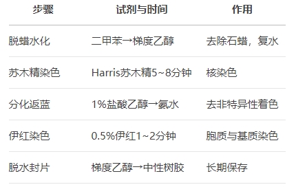 微信截圖_20250427143626 微信截圖_20250427143626