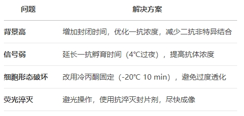 微信截圖_20250521103704 微信截圖_20250521103704