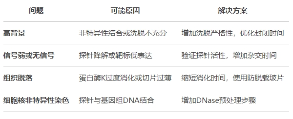 微信截圖_20250508133323 微信截圖_20250508133323