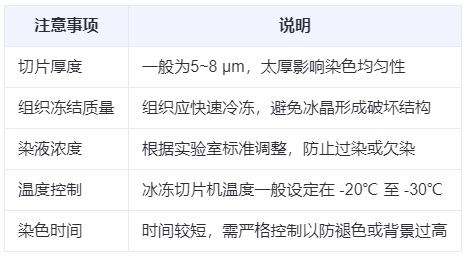 微信截圖_20250613143803 微信截圖_20250613143803