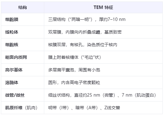 微信截圖_20250818152620 微信截圖_20250818152620