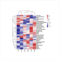 微生物多樣性分析