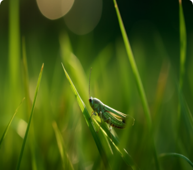 動(dòng)物實(shí)驗(yàn)平臺(tái)